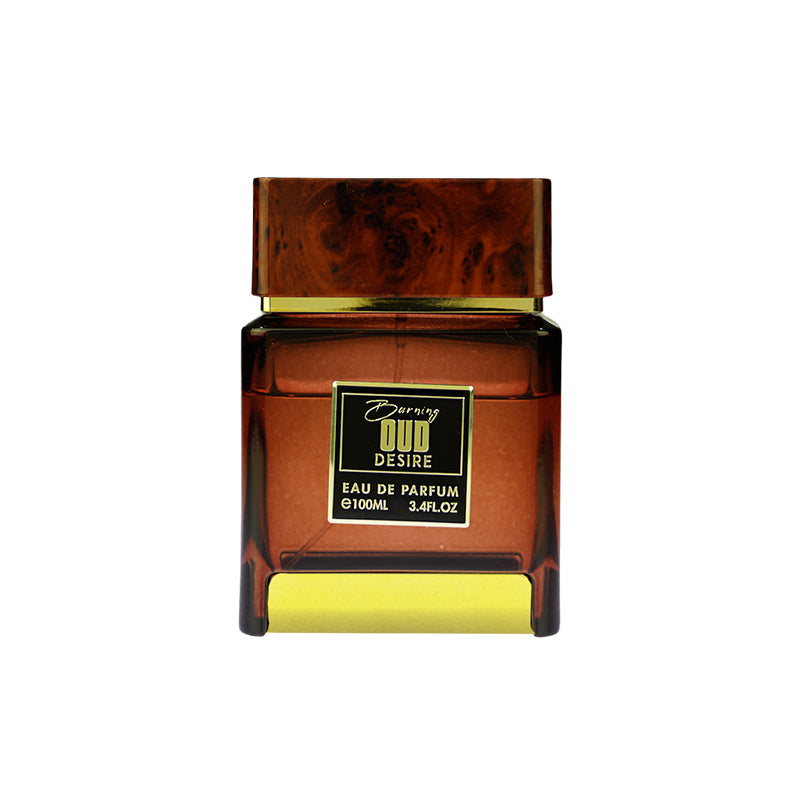 BURNING OUD DESIRE EAU DE PARFUM 100ML FOR MEN - FLAVIA DOMINANT COLLECTION