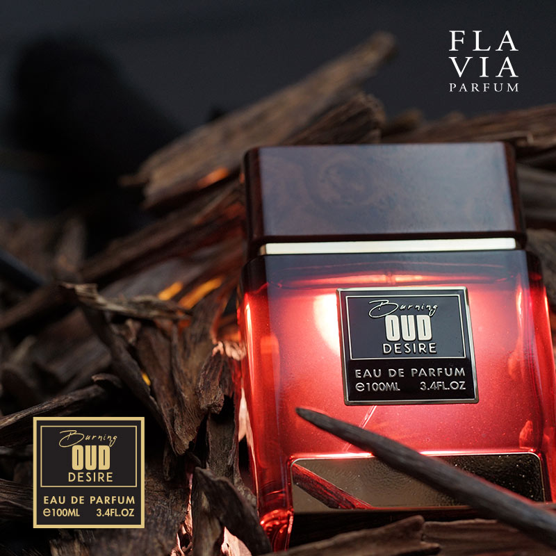BURNING OUD DESIRE EAU DE PARFUM 100ML FOR MEN - FLAVIA DOMINANT COLLECTION